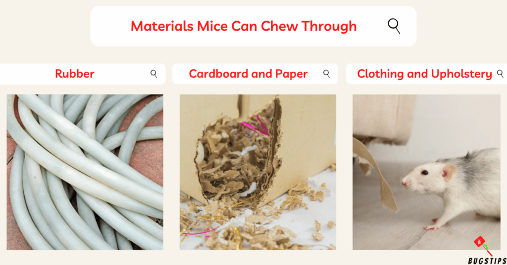 what can mice chew through