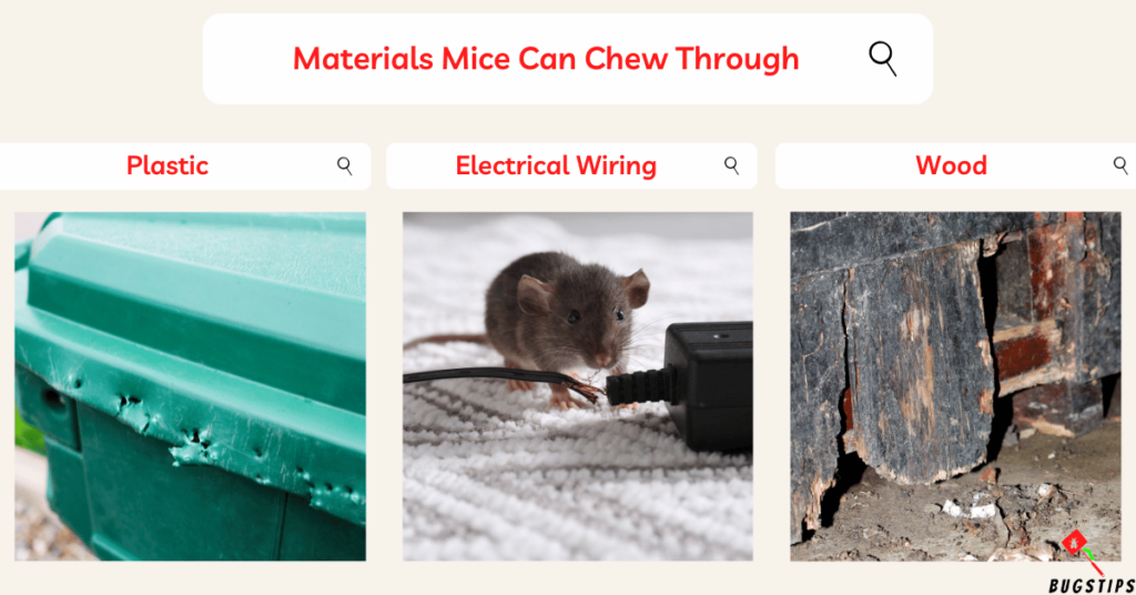 Materials Mice Can Chew Through